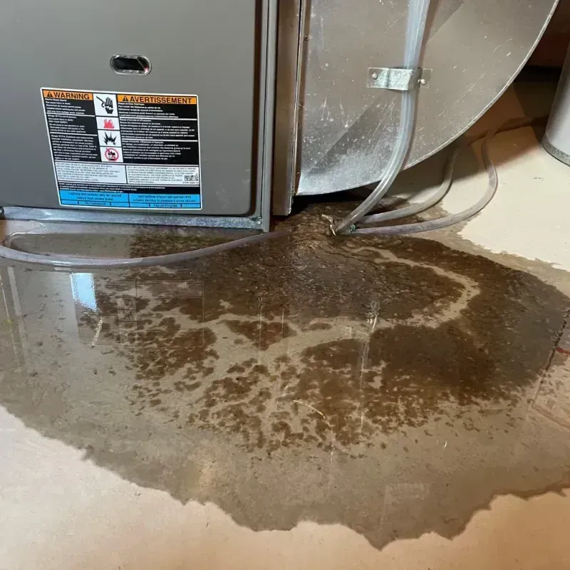 Appliance Leak Cleanup in Plattekill, NY